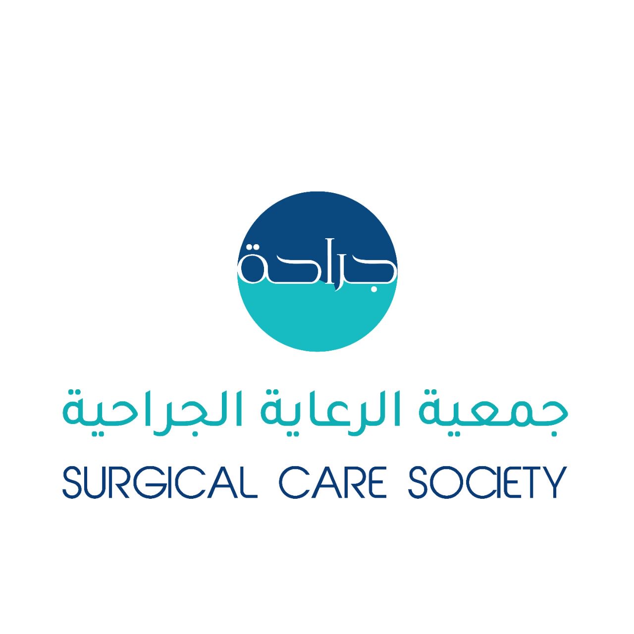 Saudi Plastic Surgery Care Society (SPSCS)